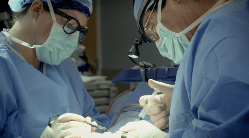 Beautiful Faces (2024) surgery